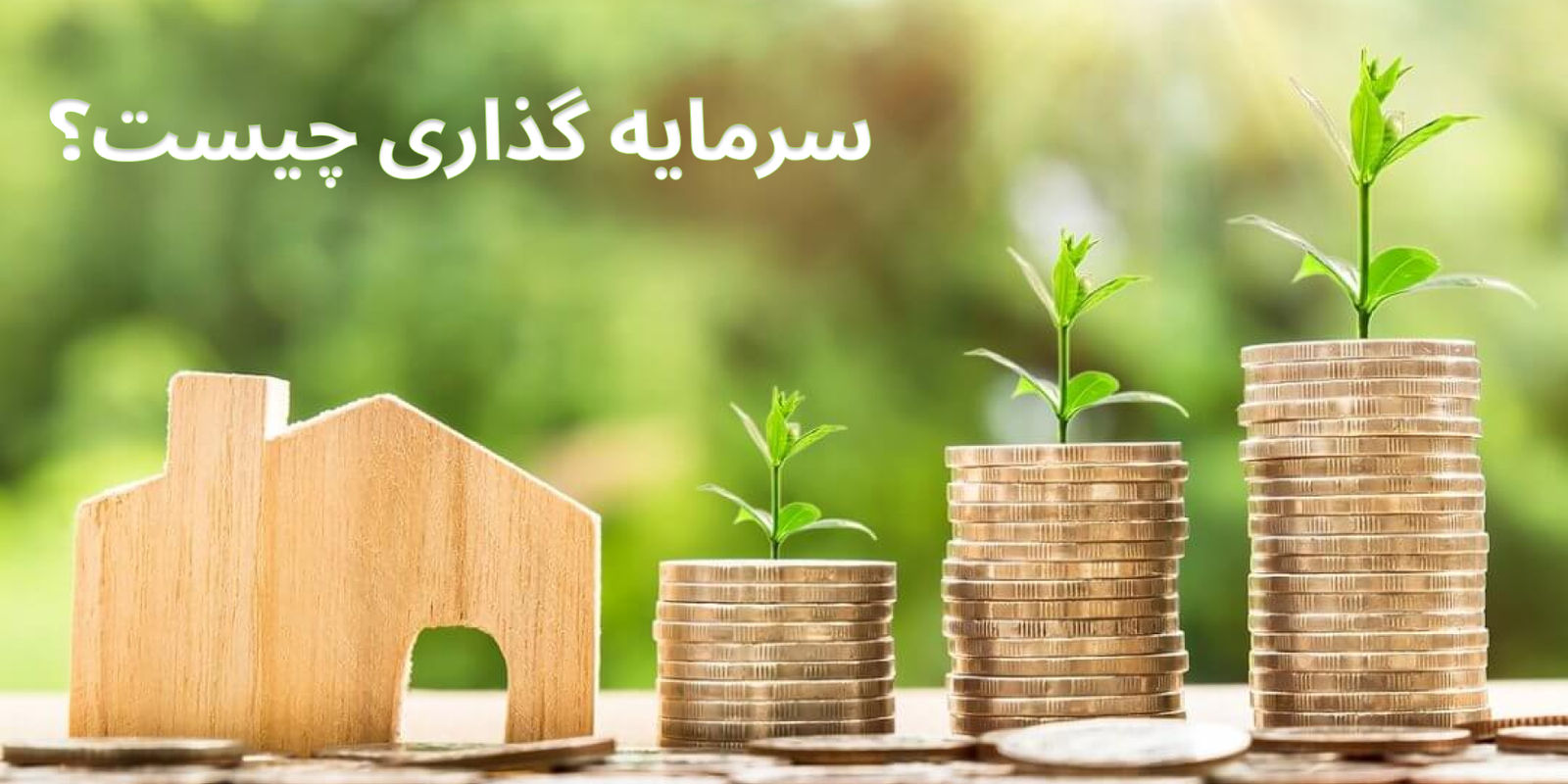 سرمایه گذاری چیست؟ و انواع روش سرمایه گذاری